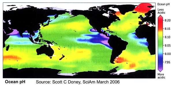 ocean alkalinity mapped