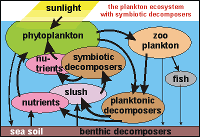 plankton with symbiontic decomposers