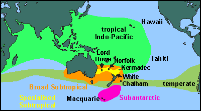 Marine provinces around New Zealand