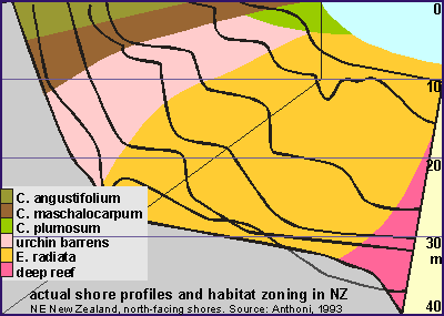 underwater zoning diagram northern New Zealand
