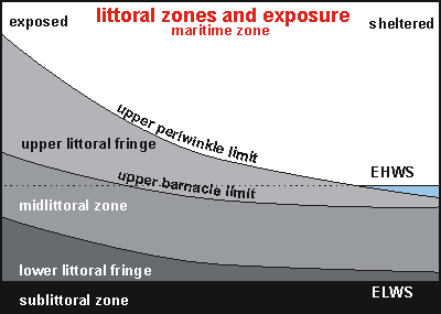 wave exposure modifying the littoral zones