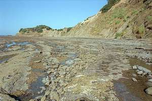 Whangaparaoa degraded shore
