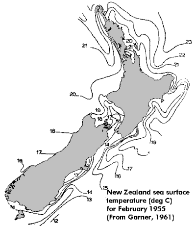 sea temperature New Zealand