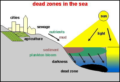 How a dead zone happens