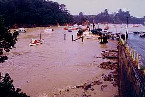 mud in Leigh Harbour