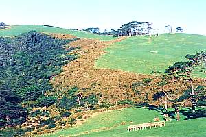 retired and fenced hillside