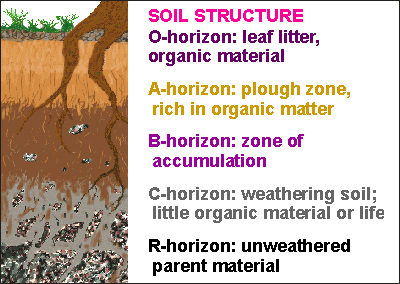 soil profiles