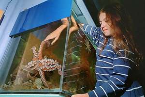 a young girl playing with a big octopus