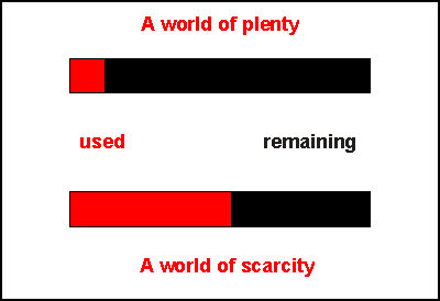 world of plenty and scarcity