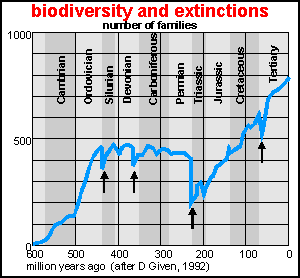 biodiversity and extinctions