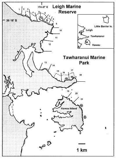 Map of Goat Island to Kawau Island
