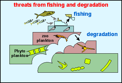 difference between fishing and pollution