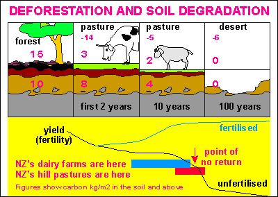 Typical soil degradation