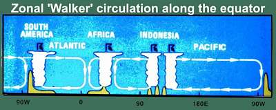 equatorial circulation, zonal  Walker circulation