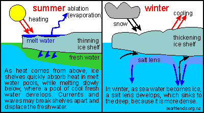 ice shelves in summer and winter
