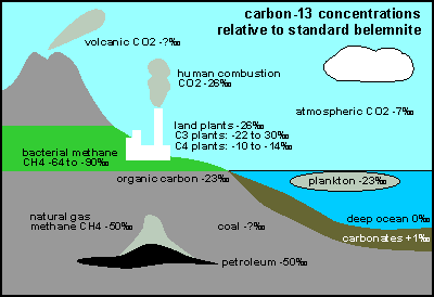 carbon-13 found in nature