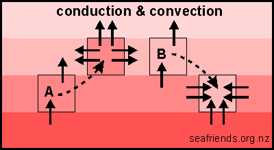 example of conductivity and convection