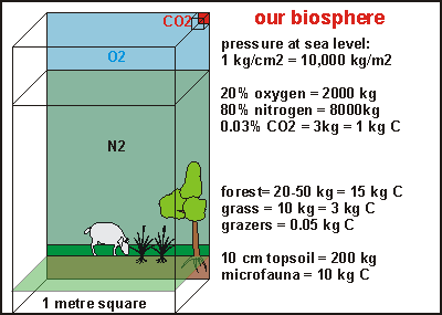 carbon in the biosphere