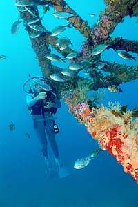 diver under the bowsprit wih fishes