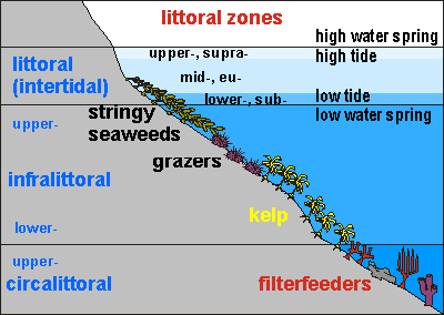 Habitat zoning diagram