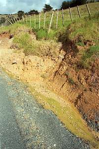 Goat Island road erosion