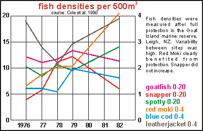 fish populations Goat Island marine reserve