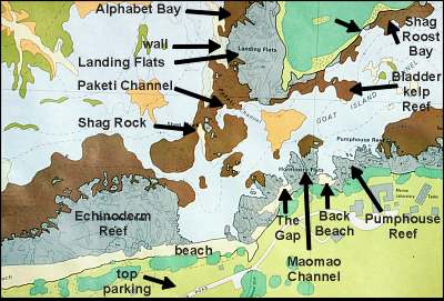 Goat Island New Zealand Map Diving Goat Island