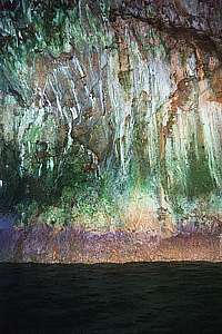Rikoriko Cave: dripstone and algae