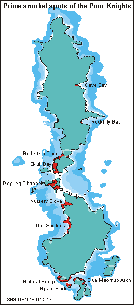 map of good snorkel sites on the Poor Knights