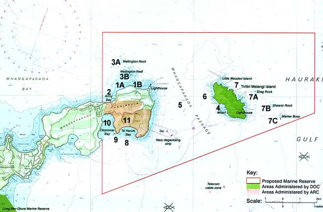 Tiritiri Matangi Island , Whangaparaoa Peninsula and proposed marine reserve
