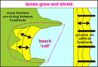 Dunes grow and shrink