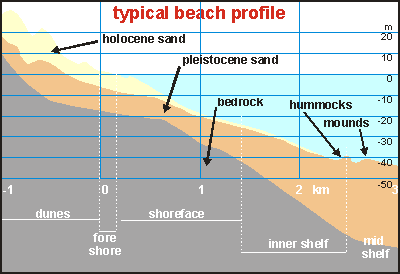 Typical beach profile of the region