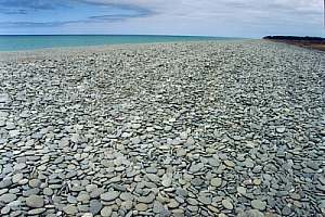 img: pebble beach