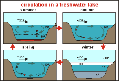 img: Circulation in a lake