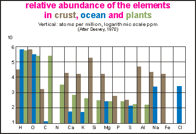 abundance of elements