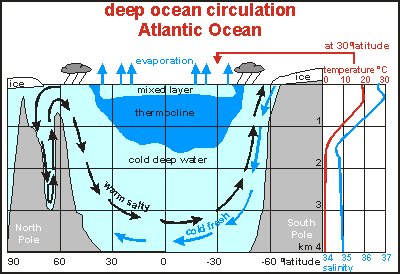 img: Atlantic Ocean deep circulation