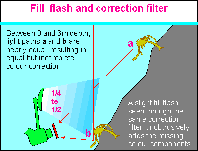 Colour correction at 3-7m depth