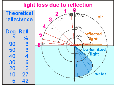 Light loss from reflection