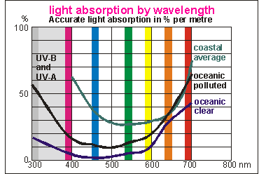 Light absorption by wavelength