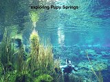 freediver in Pupu Springs