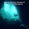 freediver in the Riwaka Resurgence