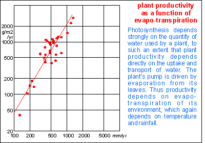 Primary productivity and evapotranspiration