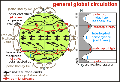 global atmospheric circulation