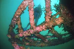 Rainbow Warrior bowsprit