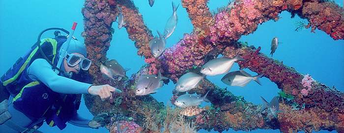 A diver at the bowsprit of the Rainbow Warrior shipwreck