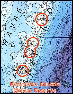 Kermadec Islands Marine Reserve