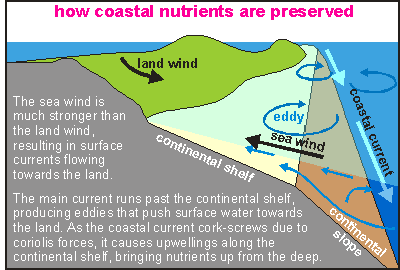 Forces that retain nutrients