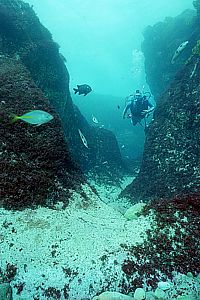 debris gully above boulder bed