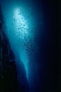 blue halo in Long Cave