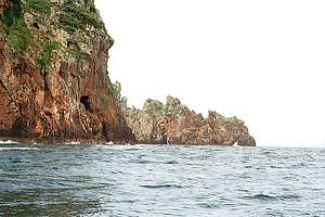 Wild Beast Point seen from the north